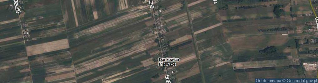 Zdjęcie satelitarne Dankowice Pierwsze ul.